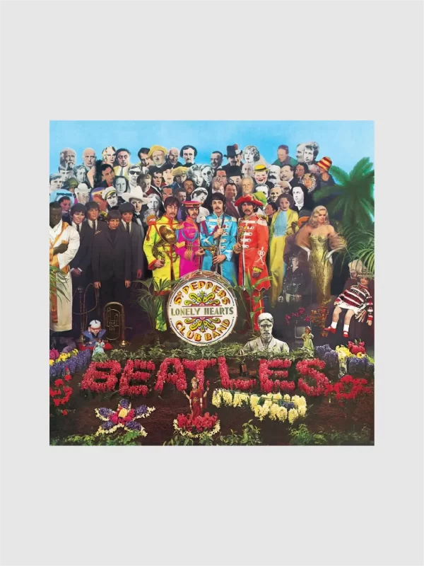 <h5>The Beatles</h5> <h6>Sgt Pepper'S Lonely H</h6>